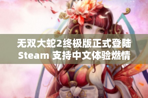 无双大蛇2终极版正式登陆Steam 支持中文体验燃情回归